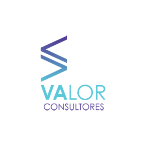 VALOR CONSULTORES